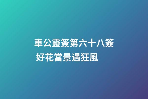 車公靈簽第六十八簽 好花當景遇狂風